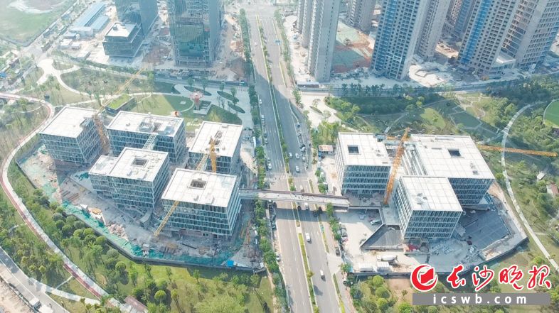 　　马栏山信息港预计年内完工，这里下楼即入公园，堪称花园式办公环境。 长沙晚报全媒体记者 王志伟 摄