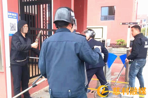 红网.jpg