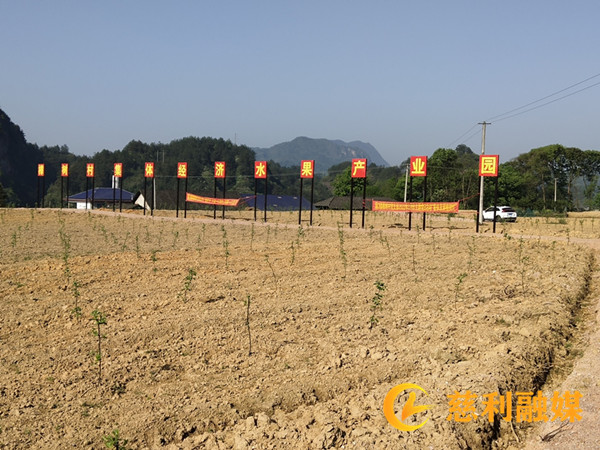 微信图片_20220415115034_副本.jpg 微信图片_20220415115034_副本.jpg