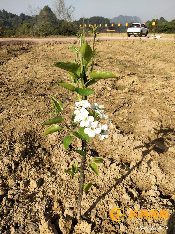 微信图片_20220415115041_副本.jpg 微信图片_20220415115041_副本.jpg