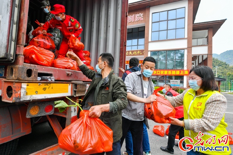 【组图】“守沪者联盟”丨浙江长兴:4000份蔬菜瓜果驰援上海