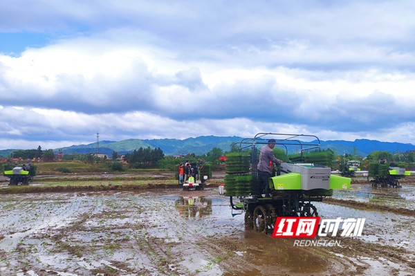 0077d24d2111a4f54163d4144a11560_副本.jpg
