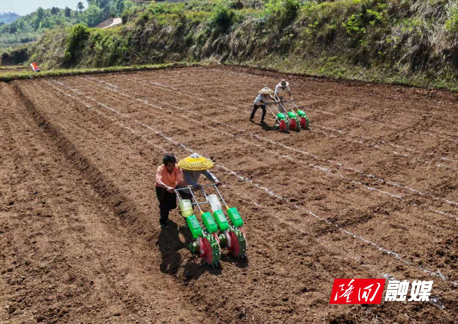 微信图片_20220419085641.jpg 微信图片_20220419085641.jpg