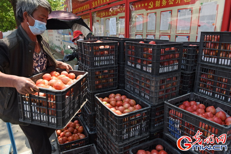 【组图】“守沪者联盟”丨安徽淮南：沿淮爱心蔬菜驰援上海