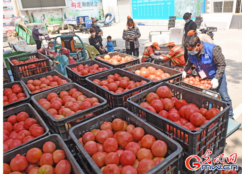 【组图】“守沪者联盟”丨安徽淮南：沿淮爱心蔬菜驰援上海