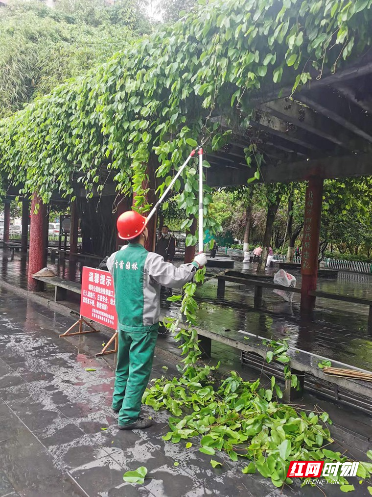 【喜迎二十大·全域文明创建在行动】提升城区绿化品质 让城市“颜值”再展“新绿”4.jpg