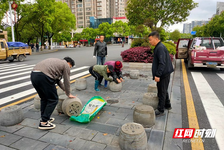 【喜迎二十大·全域文明创建在行动】提升城区绿化品质 让城市“颜值”再展“新绿”5.jpg