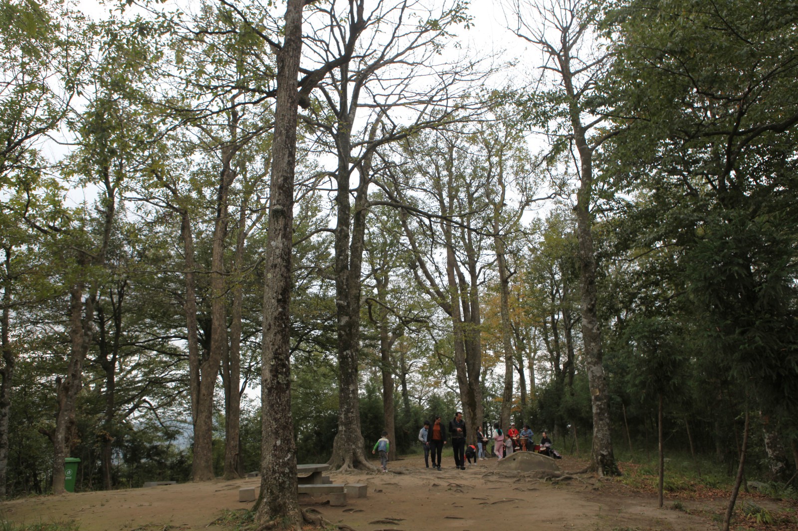 微信图片_20220419095735.jpg 微信图片_20220419095735.jpg