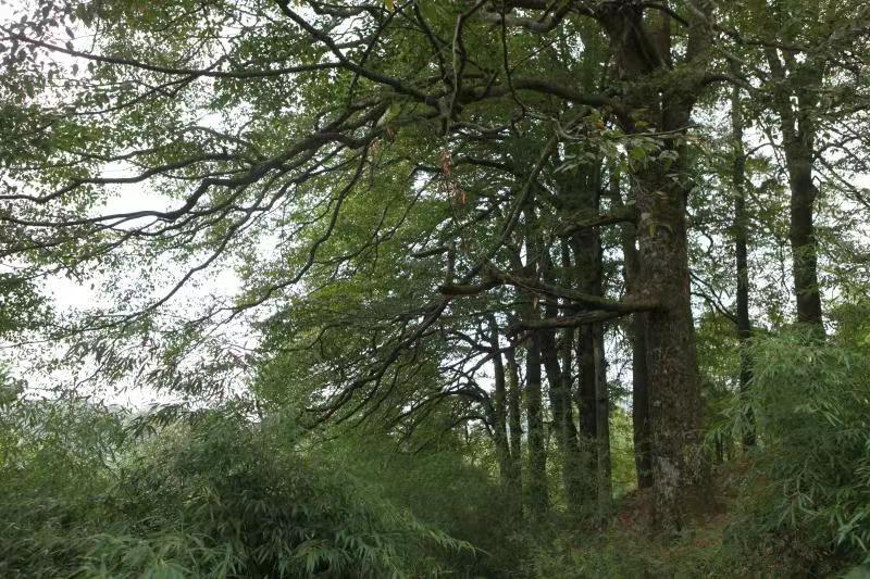 微信图片_20220419095723.jpg 微信图片_20220419095723.jpg