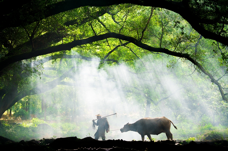 5e6b862aaaa37_副本.jpg 5e6b862aaaa37_副本.jpg