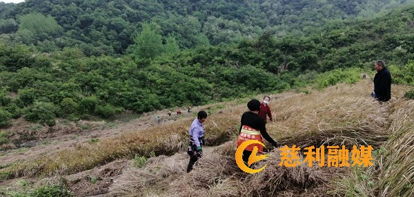 微信图片_20220420103300.jpg