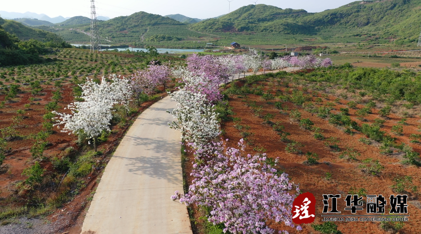 微信截图_20220420102034.png