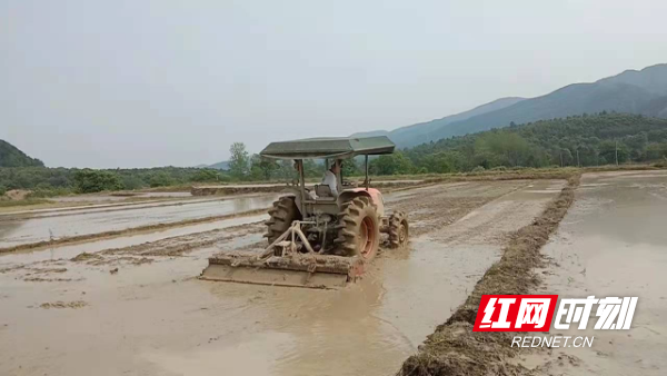 “铁牛”田间“撒欢”，助力春耕生产.png