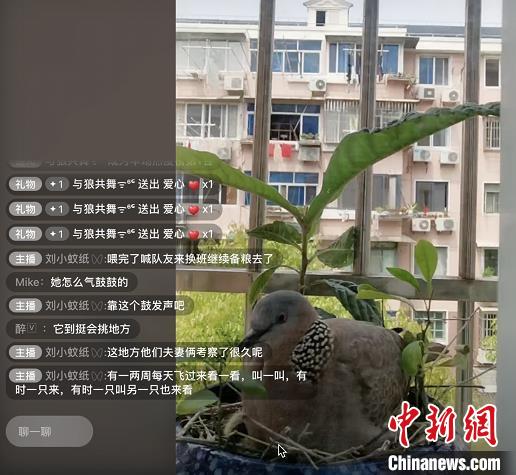 守“沪”日志：心灵“能量补给站”助力“疫情疗愈”