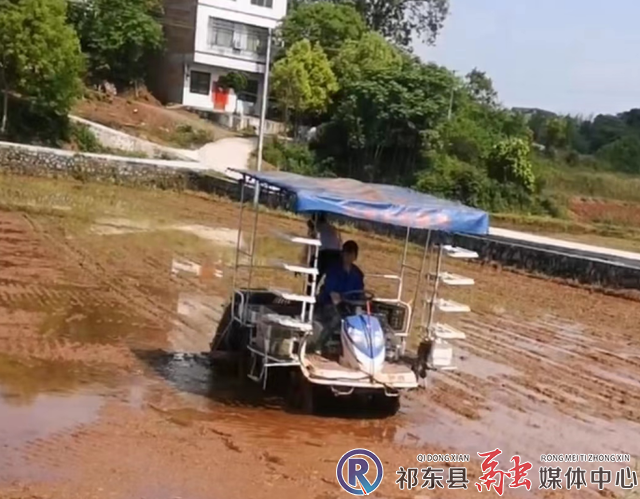 w_微信截图_20220420110043.png