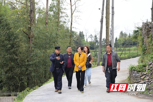 1、党组书记、院长张瀚冰（中）在稼贤村调研.jpg