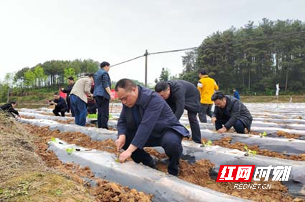 图片31.jpg