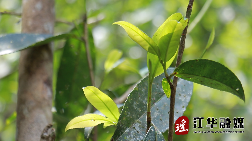 微信截图_20220421155357.png