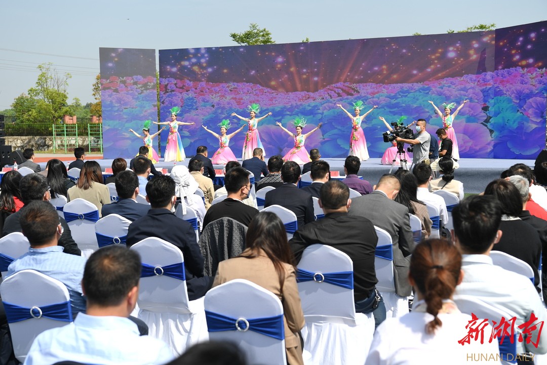 尊重保护创新！长沙县知识产权宣传周活动启动