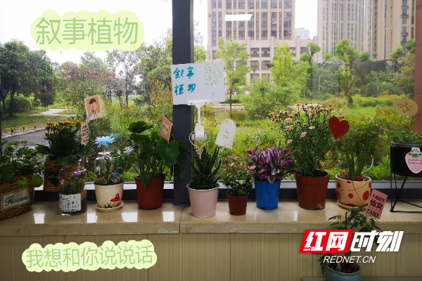 株洲市中心医院临床心理科创新开展植物叙事护理