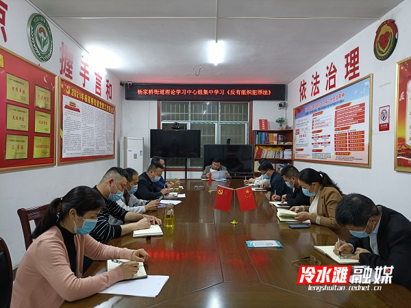冷水滩区杨家桥街道积极开展《反有组织犯罪法》学习宣传活动.jpg