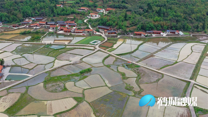 怀化鹤城区大坪村：农时备耕育秧忙 水田景观成一道美丽风景.mp4_20220422_153306.558.jpg