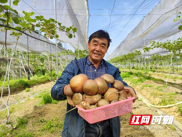 图片24.jpg