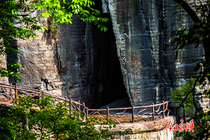 DSC_7384-小.png