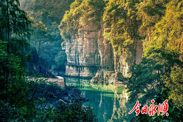 微信图片_20220418094543-小.png