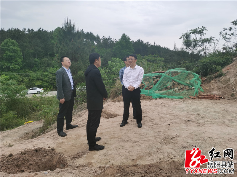 李德军在筻口察看违法违规墓地复绿.jpg