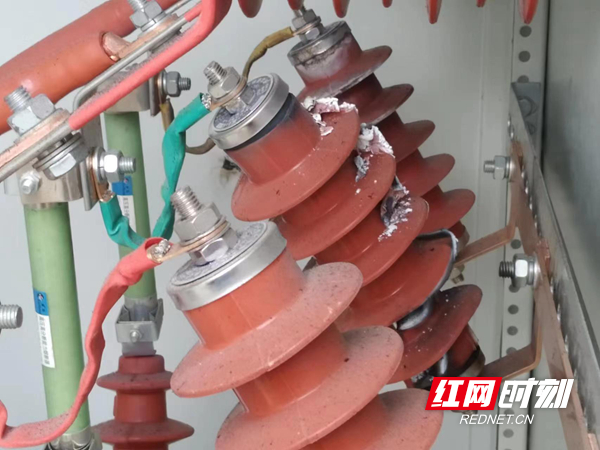 水厂产权设备（避雷器）被雷击击穿损坏。.jpg