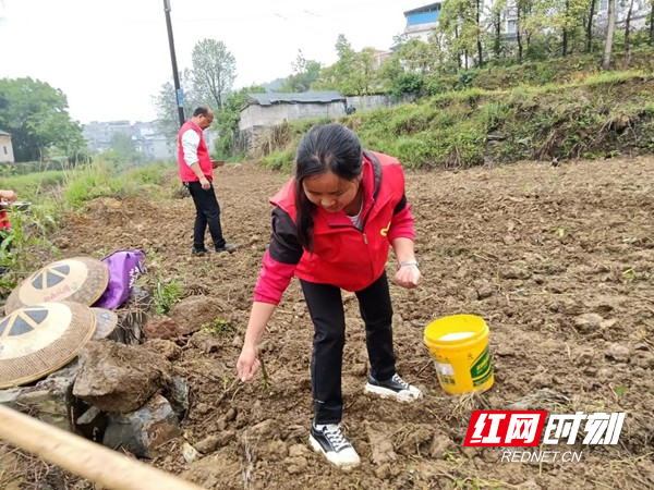 图片16.jpg