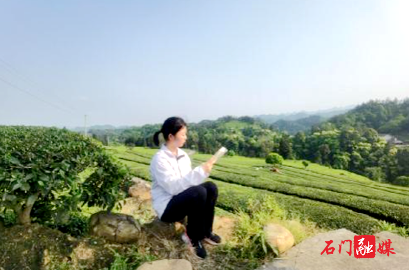 读书日.png