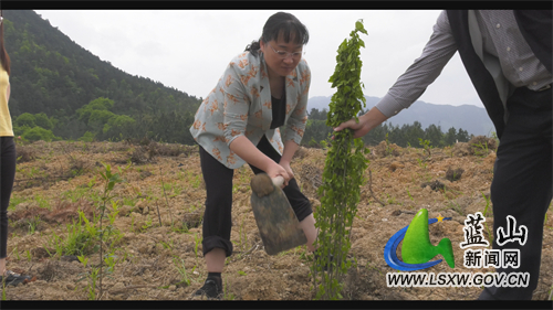 微信图片_202204241704551.jpg 微信图片_202204241704551.jpg