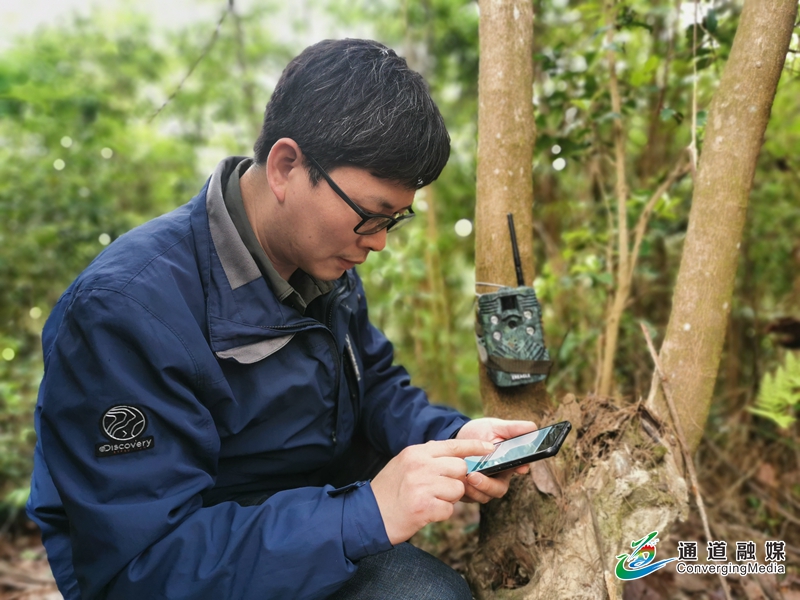 我县生物多样性资源调查全面启动+(1).jpg
