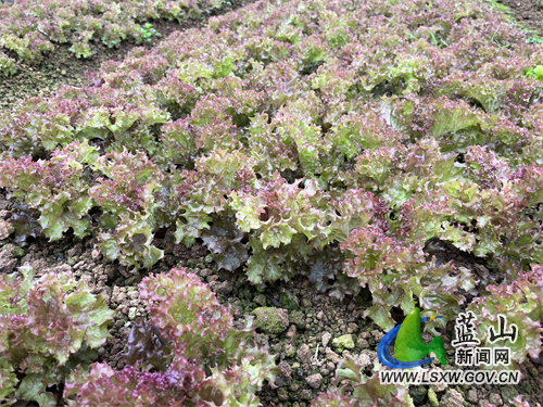 微信图片_202204251703441.jpg 微信图片_202204251703441.jpg