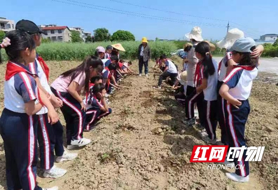 机场小学摸索形成“外有劳动教育实践场所，内含劳动理论知识协同”的教学实践模式。.jpg