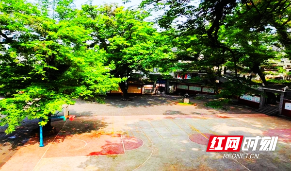 图片27.jpg 图片27.jpg