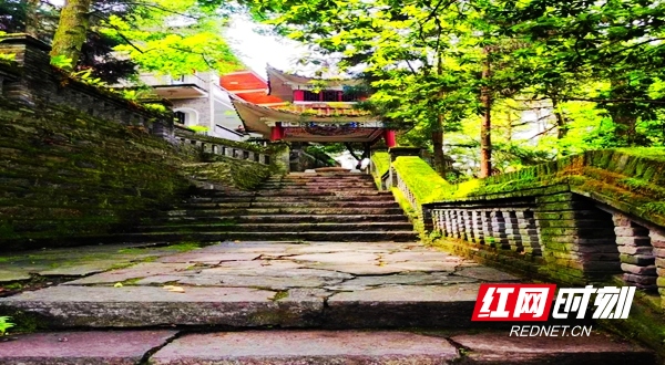 图片29.jpg 图片29.jpg