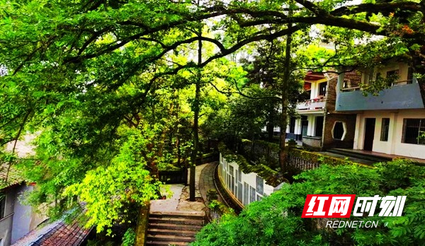 图片31.jpg 图片31.jpg