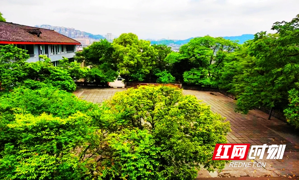 图片32.jpg 图片32.jpg