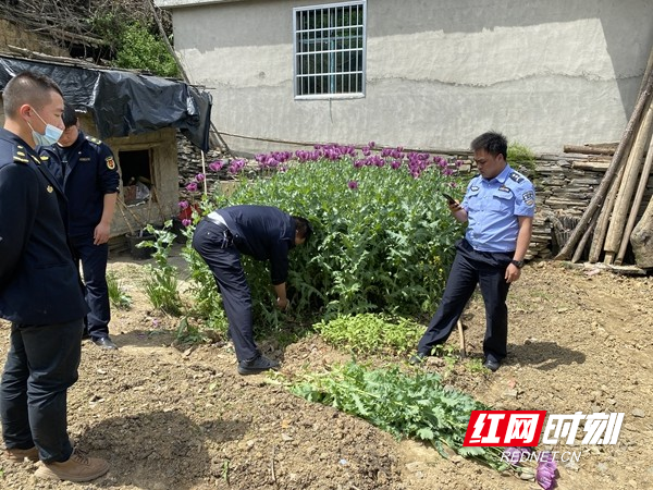 图片12.jpg