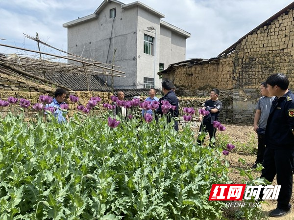图片11.jpg