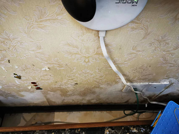 曾先生反映房屋内地面、墙面渗水严重。 本文图均为 受访者供图