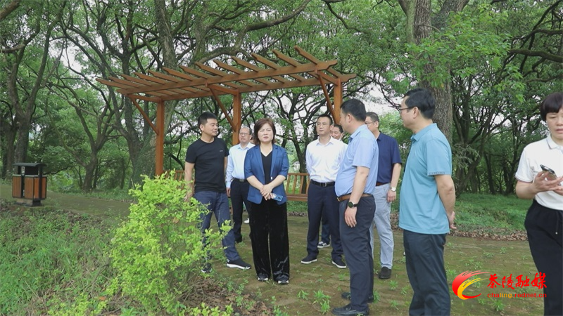 Still0427_00001(1).jpg Still0427_00001(1).jpg