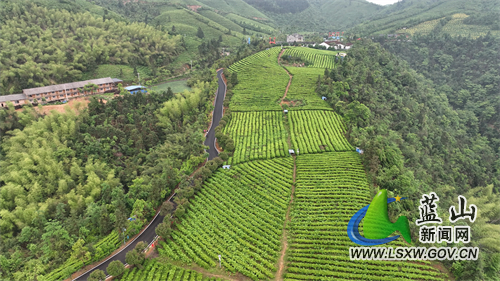 微信图片_202204271703544.jpg 微信图片_202204271703544.jpg