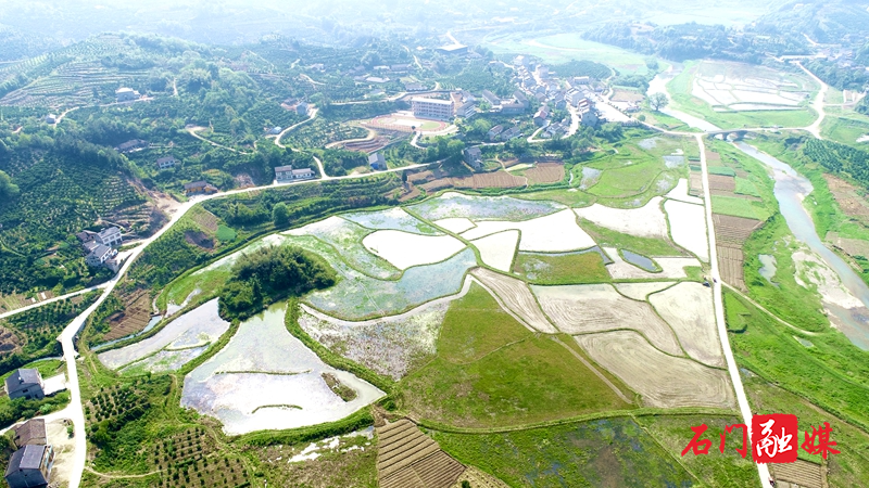 重阳树社区湘莲基地航拍图_副本.jpg
