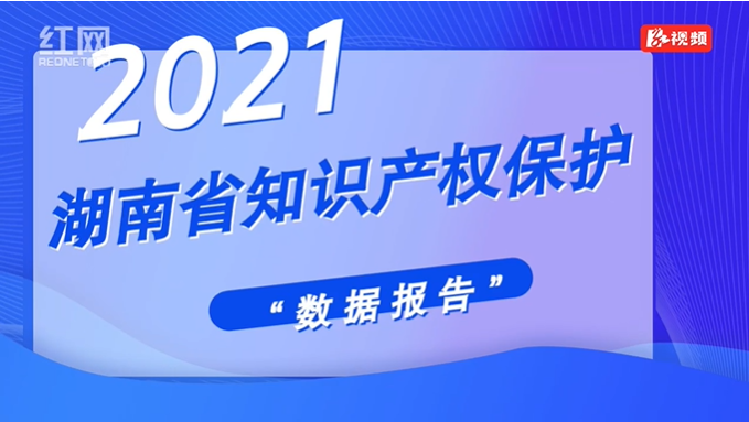 视频|2021年湖南省知识产权保护“数据报告