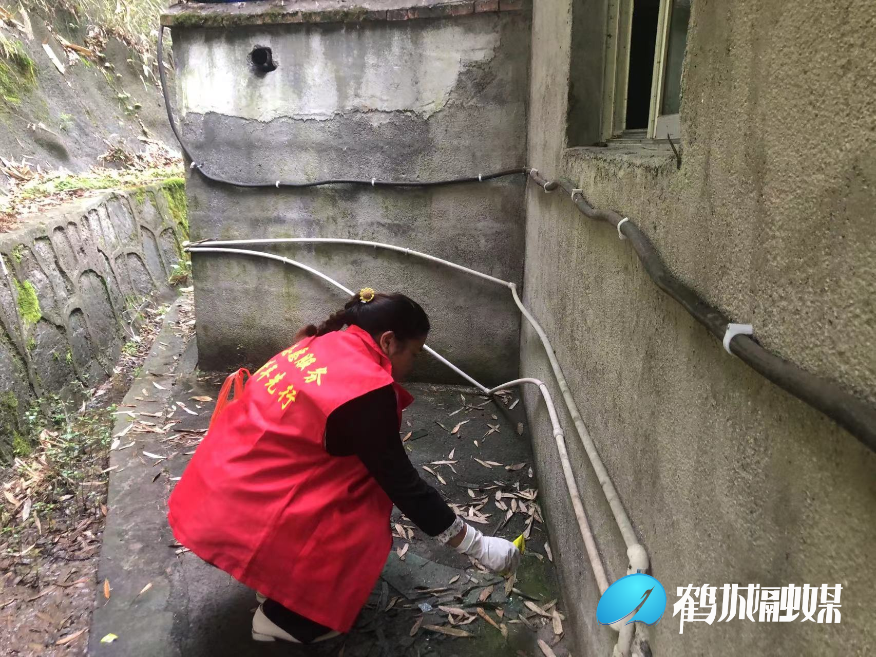 图片3.png 图片3.png