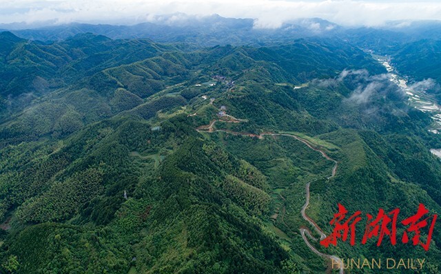 湖南日报版面头条︱会同县：扎实推进“五巡五防”，全力守护绿水青山